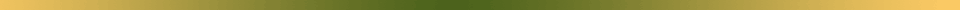 green-gold separator bar